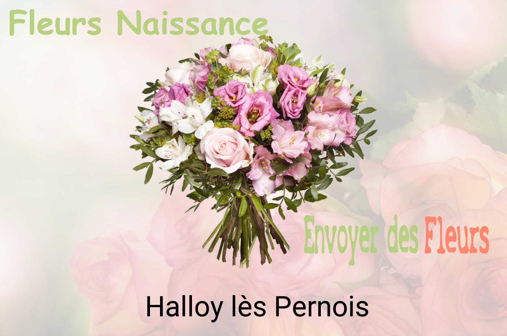 Bouquet de fleurs de naissance livré à Halloy-lès-Pernois